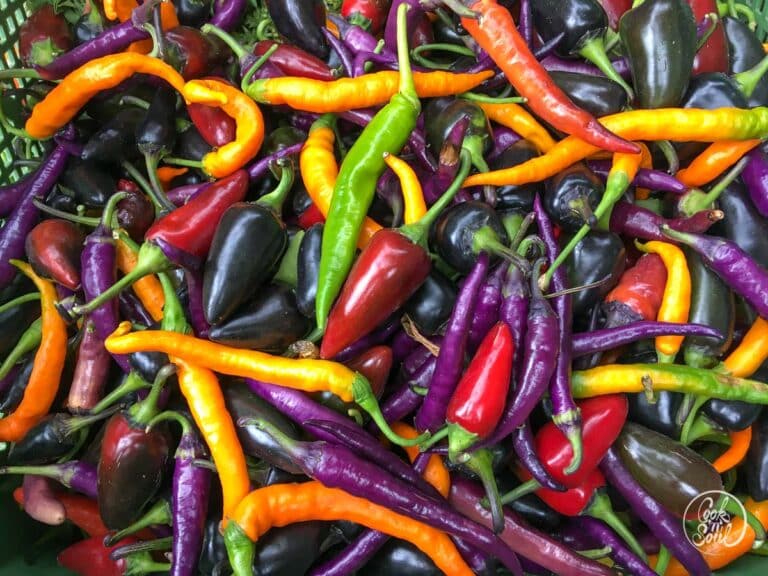 Habanero Sauce, scharfe Paste mit besonderem Tomaten Aroma