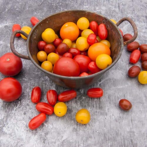 Tomaten Vielfalt