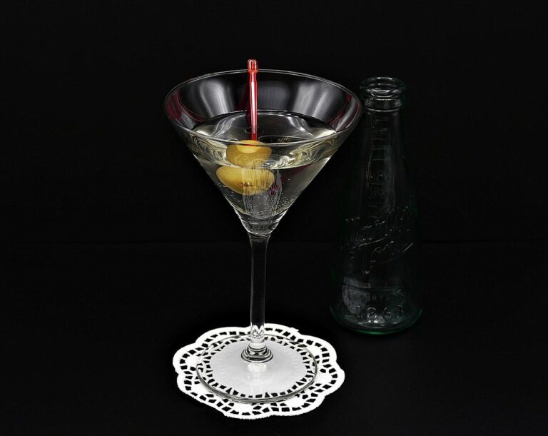 Dry Martini klassisches Martini Rezept cooknsoul.de