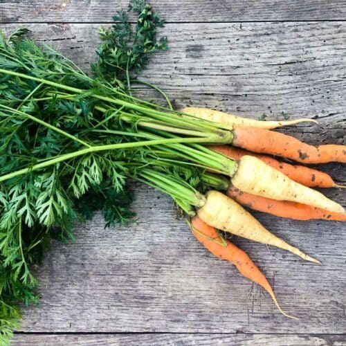 Karotten Tipps und Tricks